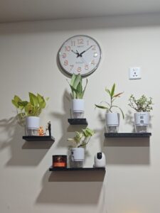set of 4 wall shelves